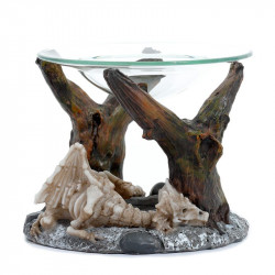 Dragon Graveyard -...