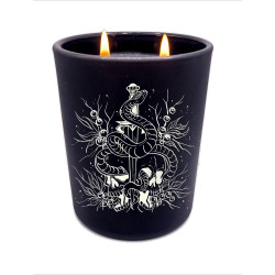 Soy candle The Rogue 250ml