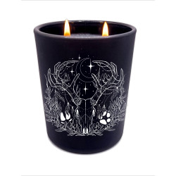 Soy candle The Druid 250ml