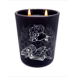 Soy candle The Wizard 250ml