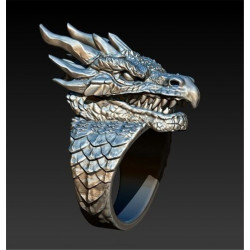 Silver Ring Dragon Lord RPG...