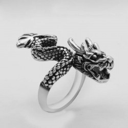 Silver Ring Dragon Parade...