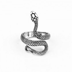 Silver Ring Ring My Little...