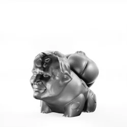RPG Figure - BulbaPaweł