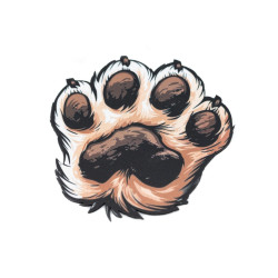 RUBBER COASTER - PAW 10x10 CM