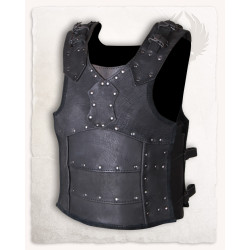 ALBRECHT LEATHER ARMOR -...