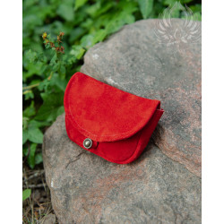 SUEDE BELT BAG RICKAR -...