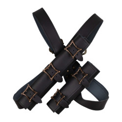 LEATHER BACK SYSTEM...