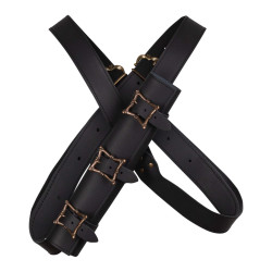 LEATHER FULGOR SYSTEM WITH...