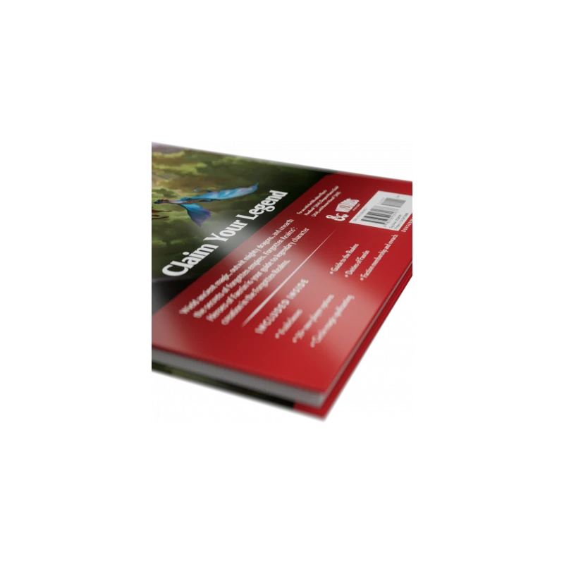DUNGEONS & DRAGONS RPG MANUAL - FORGOTTEN REALMS - HEROES OF FAERUN