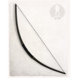 SHORT BOW IDV 120 CM LARP