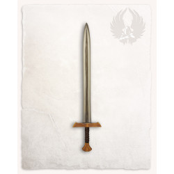 GOLDEN LONG SWORD HECTOR...