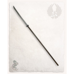 MISTRZOWSKA NAGINATA - BROŃ...