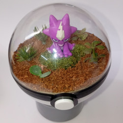 TOXEL - POKEBALL TERRARIUM...