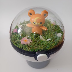 TEDDIURSA - POKEBALL...
