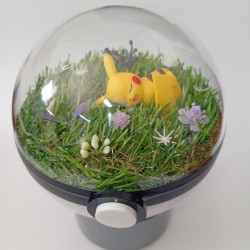 PIKACHU - POKEBALL...
