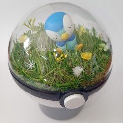 PIPLUP - POKEBALL TERRARIUM...