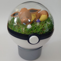 EEVEE - POKEBALL TERRARIUM...
