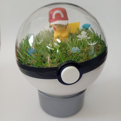 PIKACHU - POKEBALL...