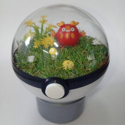 DARUMAKA - POKEBALL...